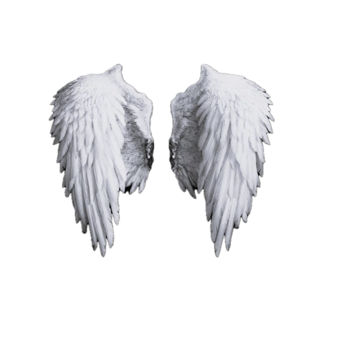 Çağatay Babacan Logo